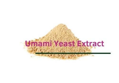 Umami Yeast Extract